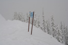 Opening weekend 2010
